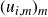 left parenthesis u Subscript i comma m Baseline right parenthesis Subscript m