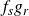 f Subscript s Baseline g Subscript r