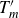 upper T prime Subscript m