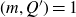 left parenthesis m comma upper Q Superscript prime Baseline right parenthesis equals 1