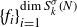 left brace f Subscript i Baseline right brace Subscript i equals 1 Superscript dimension upper S Super Subscript k Super Superscript sigma Superscript left parenthesis upper N right parenthesis
