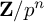 bold upper Z divided by p Superscript n