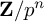 bold upper Z divided by p Superscript n