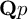 bold upper Q p