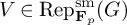 upper V element of upper R e p Subscript bold upper F Sub Subscript p Superscript s m Baseline left parenthesis upper G right parenthesis