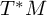upper T Superscript asterisk Baseline upper M