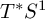 upper T Superscript asterisk Baseline upper S Superscript 1