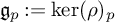 g Subscript p Baseline colon equals backslash kernel left parenthesis rho right parenthesis Subscript p Baseline