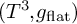 left parenthesis upper T cubed comma g Subscript f l a t Baseline right parenthesis
