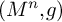 left parenthesis upper M Superscript n Baseline comma g right parenthesis