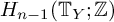 upper H Subscript n minus 1 Baseline left parenthesis upper T Subscript upper Y Baseline semicolon double struck upper Z right parenthesis