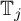 upper T Subscript j