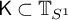 sans serif upper K subset of upper T Subscript upper S Sub Superscript 1