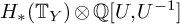 upper H Subscript asterisk Baseline left parenthesis upper T Subscript upper Y Baseline right parenthesis circled times double struck upper Q upper U comma upper U Superscript negative 1