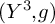 left parenthesis upper Y cubed comma g right parenthesis