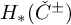 upper H Subscript asterisk Baseline left parenthesis ̌ upper C Superscript plus or minus Baseline right parenthesis