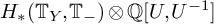 upper H Subscript asterisk Baseline left parenthesis upper T Subscript upper Y Baseline comma upper T Subscript minus Baseline right parenthesis circled times double struck upper Q upper U comma upper U Superscript negative 1