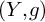 left parenthesis upper Y comma g right parenthesis