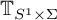 upper T Subscript upper S Sub Superscript 1 Subscript times upper Sigma