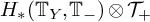 upper H Subscript asterisk Baseline left parenthesis upper T Subscript upper Y Baseline comma upper T Subscript minus Baseline right parenthesis circled times upper T Subscript plus