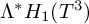 upper Lamda Superscript asterisk Baseline upper H 1 left parenthesis upper T cubed right parenthesis