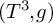 left parenthesis upper T cubed comma g right parenthesis