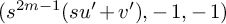 left parenthesis s Superscript 2 m minus 1 Baseline left parenthesis s u prime plus v prime right parenthesis comma negative 1 comma negative 1 right parenthesis