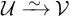 U is approximately isomorphic to V.
