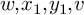 w comma x 1 comma y 1 comma v