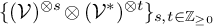 left brace left parenthesis script upper V right parenthesis Superscript circled times s Baseline circled times left parenthesis script upper V Superscript asterisk Baseline right parenthesis Superscript circled times t Baseline right brace Subscript s comma t element of double struck upper Z Sub Subscript greater than or equals 0 Subscript