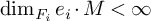 backslash dimension Subscript upper F Sub Subscript i Baseline e Subscript i Baseline dot upper M less than infinity