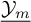 ModifyingBelow script upper Y Subscript m Baseline With ̲