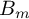 upper B Subscript m