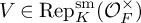 upper V element of backslash operatorname upper R e p Subscript upper K Superscript backslash operatorname s m Baseline left parenthesis upper O Subscript upper F Superscript times Baseline right parenthesis