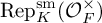 backslash operatorname upper R e p Subscript upper K Superscript backslash operatorname s m Baseline left parenthesis upper O Subscript upper F Superscript times Baseline right parenthesis