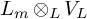 upper L Subscript m Baseline circled times Subscript upper L Baseline upper V Subscript upper L