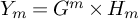 upper Y Subscript m Baseline equals upper G Superscript m Baseline times upper H Subscript m