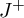 upper J Superscript plus