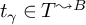 t Subscript gamma Baseline element of upper T Superscript wave arrow pointing directly right upper B