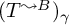 left parenthesis upper T Superscript wave arrow pointing directly right upper B Baseline right parenthesis Subscript gamma