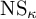 backslash text upper N upper S Subscript kappa