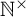 upper N Superscript times