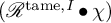 left parenthesis upper R Superscript t a m e comma upper I Baseline bullet chi right parenthesis
