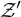 script upper Z prime
