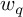 w Subscript q