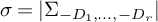 sigma equals StartAbsoluteValue upper Sigma Subscript minus upper D 1 comma midline horizontal ellipsis comma minus upper D Sub Subscript r Subscript Baseline EndAbsoluteValue