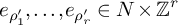 e Subscript rho prime 1 Baseline comma midline horizontal ellipsis comma e Subscript rho Sub Subscript r Sub Superscript prime Subscript Baseline element of upper N times backslash operatorname double struck upper Z Superscript r