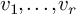 v 1 comma midline horizontal ellipsis comma v Subscript r Baseline
