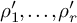 rho 1 prime comma midline horizontal ellipsis comma rho prime Subscript r