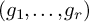 left parenthesis g 1 comma midline horizontal ellipsis comma g Subscript r Baseline right parenthesis